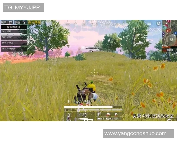 聚焦和平精英：BLG如何掌控比赛节奏与战术策略分析