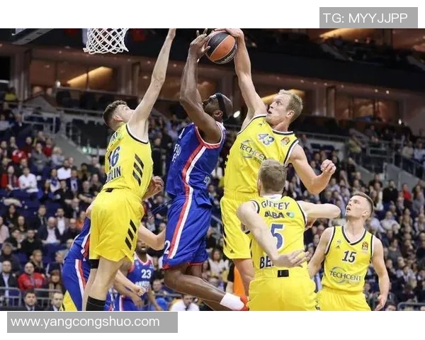 捷克与波兰篮球对决谁能在激烈竞争中胜出分析与预测